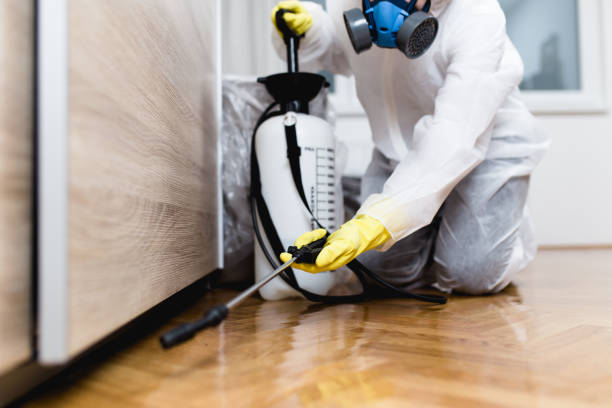 Best Pest Prevention Services  in Williamsburg, VA