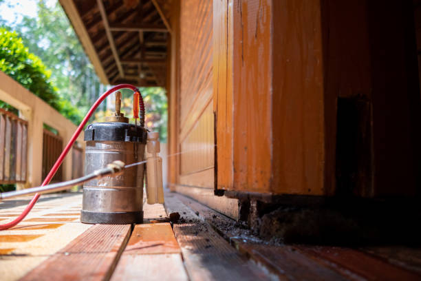Best Pest Prevention Services  in Williamsburg, VA