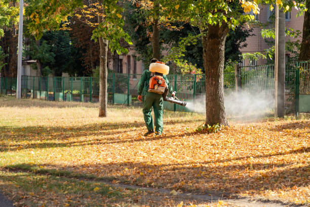 Best Rodent Control Near Me  in Williamsburg, VA